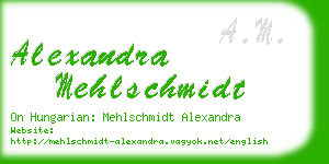 alexandra mehlschmidt business card